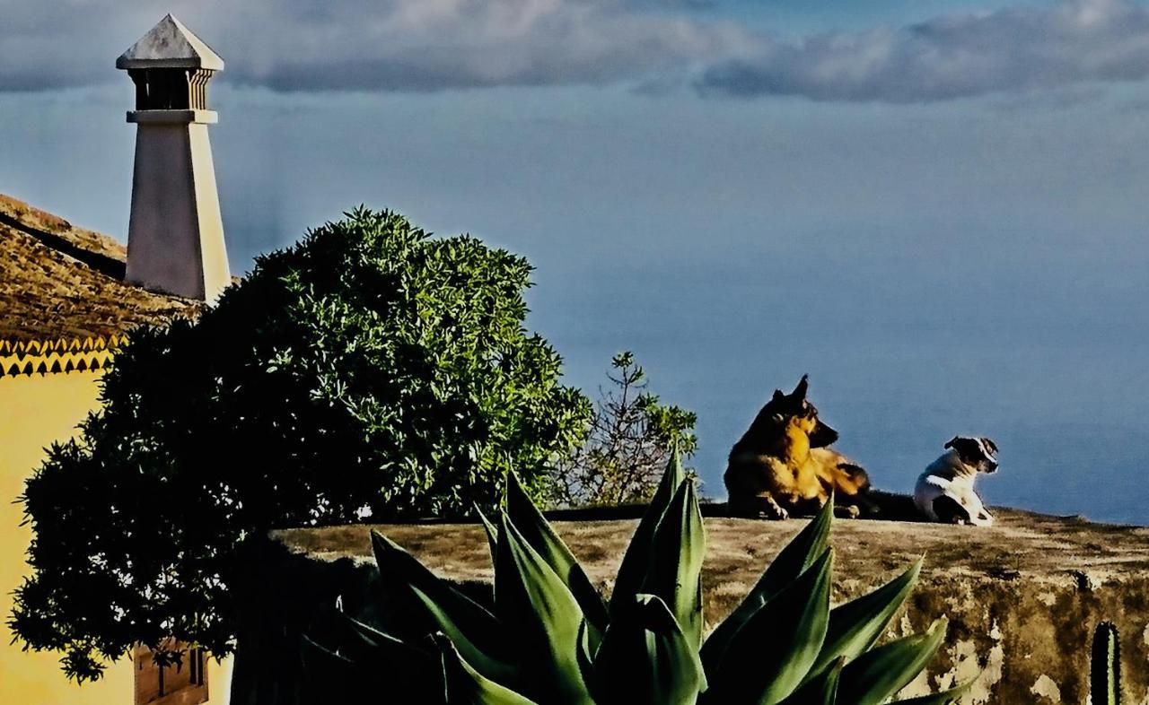 Tigalate Finca Valentina المظهر الخارجي الصورة
