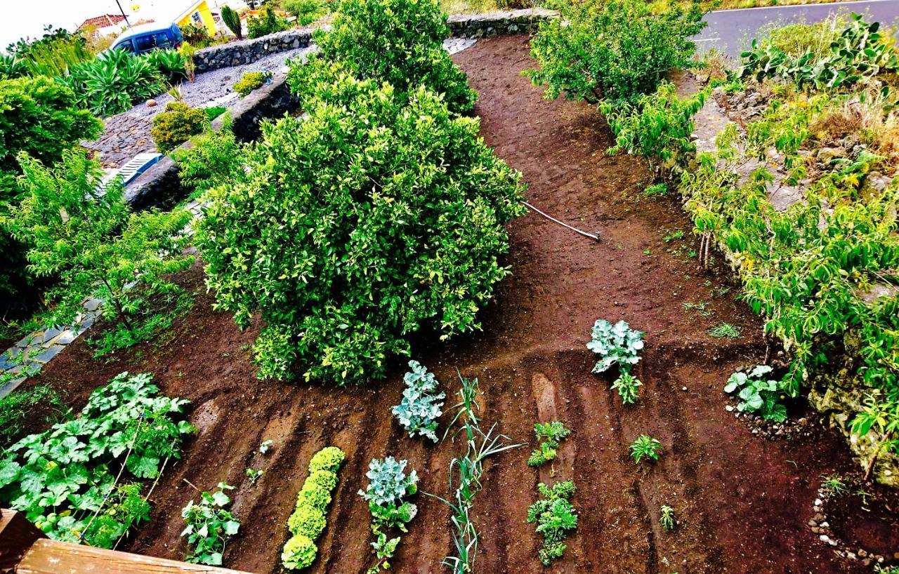 Tigalate Finca Valentina المظهر الخارجي الصورة