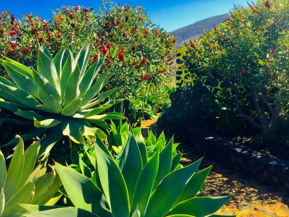 Tigalate Finca Valentina المظهر الخارجي الصورة